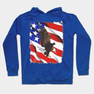 Freedom Flight Hoodie